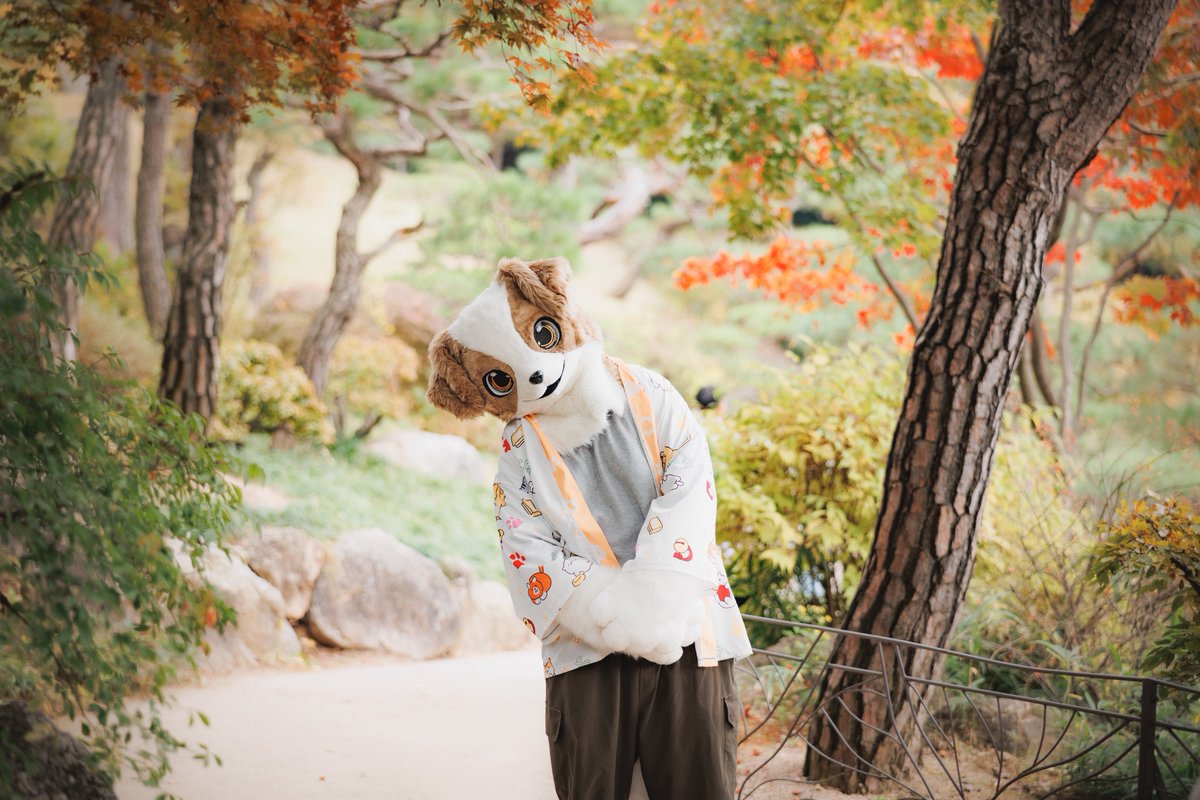 #FursuitEveryday 
얼른 일로 와요! 🤗

📸 : <a href="/Ain_Genewsid/">Ain</a>