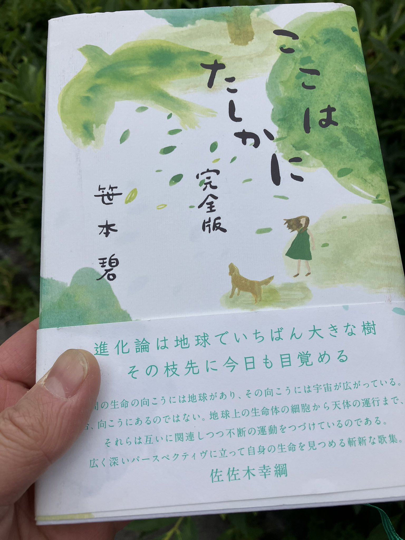中古】 游渉 歌集/六花書林/鈴木竹志 六花書林 出版刊行案内