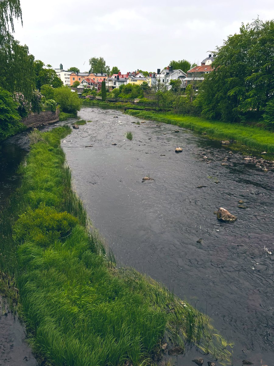 GM! Visiting some friends in Sweden. 

There is plenty of grass to touch in this country 🇸🇪🌲

any recommendations for my last day?