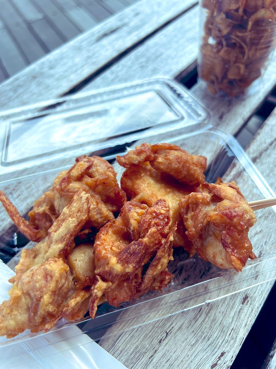 takeuchiyukimi's tweet image. 入り口入って右手のかき氷🍧と
入り口入って左手のからあげ🍗
いただきました🙏
子供も大喜び😋
美味しかったです〜🙌✨
#K2 に感動🥹
素晴らしかったー‼️
#HTML2025