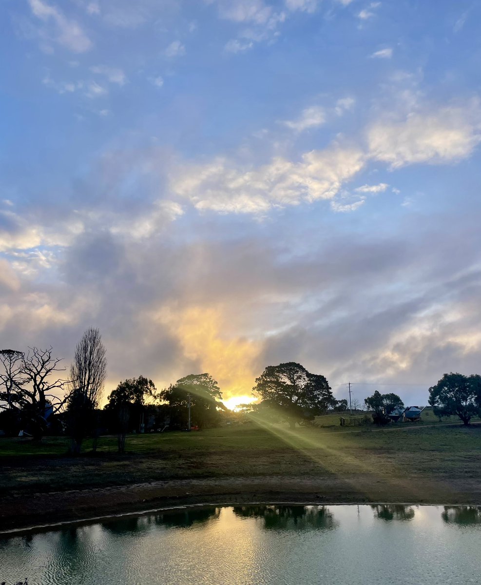 JessHyles's tweet image. Yep, it’s winter 🥶 #sharrowpastoral