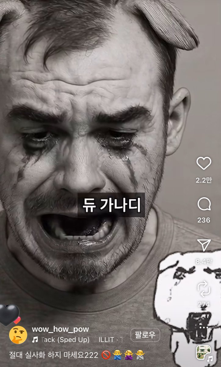 니 사용자의 한계를 보려하는가 to. 인스타그램