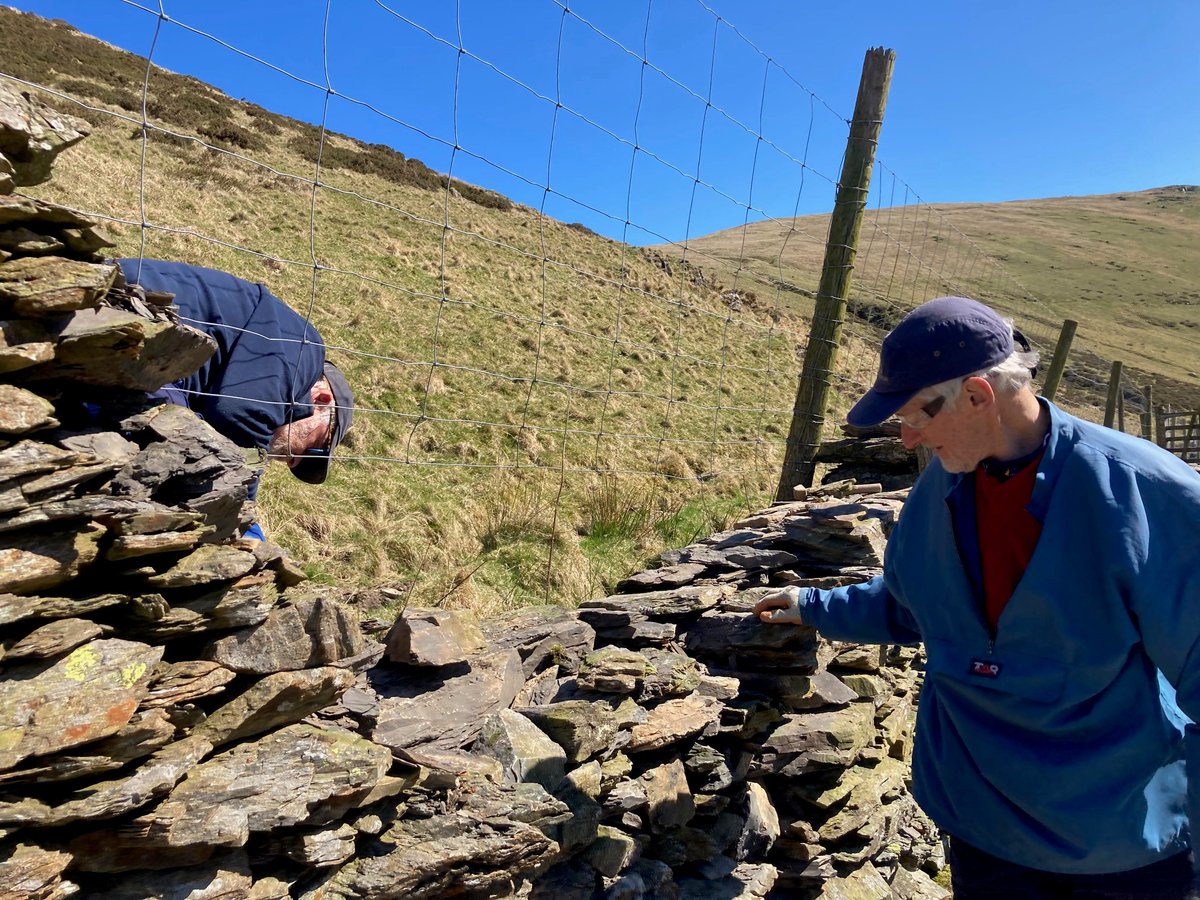 FriendsofLakes's tweet photo. Come and volunteer in beautiful High Borrowdale next Saturday!! 🔔 Join us at for tree maintenance, walling work, and Friends of the Lake District's famous selection of cakes!
Book via link below.
#workparty #Cumbria #Cakes https://t.co/WpPkH7ZIg4