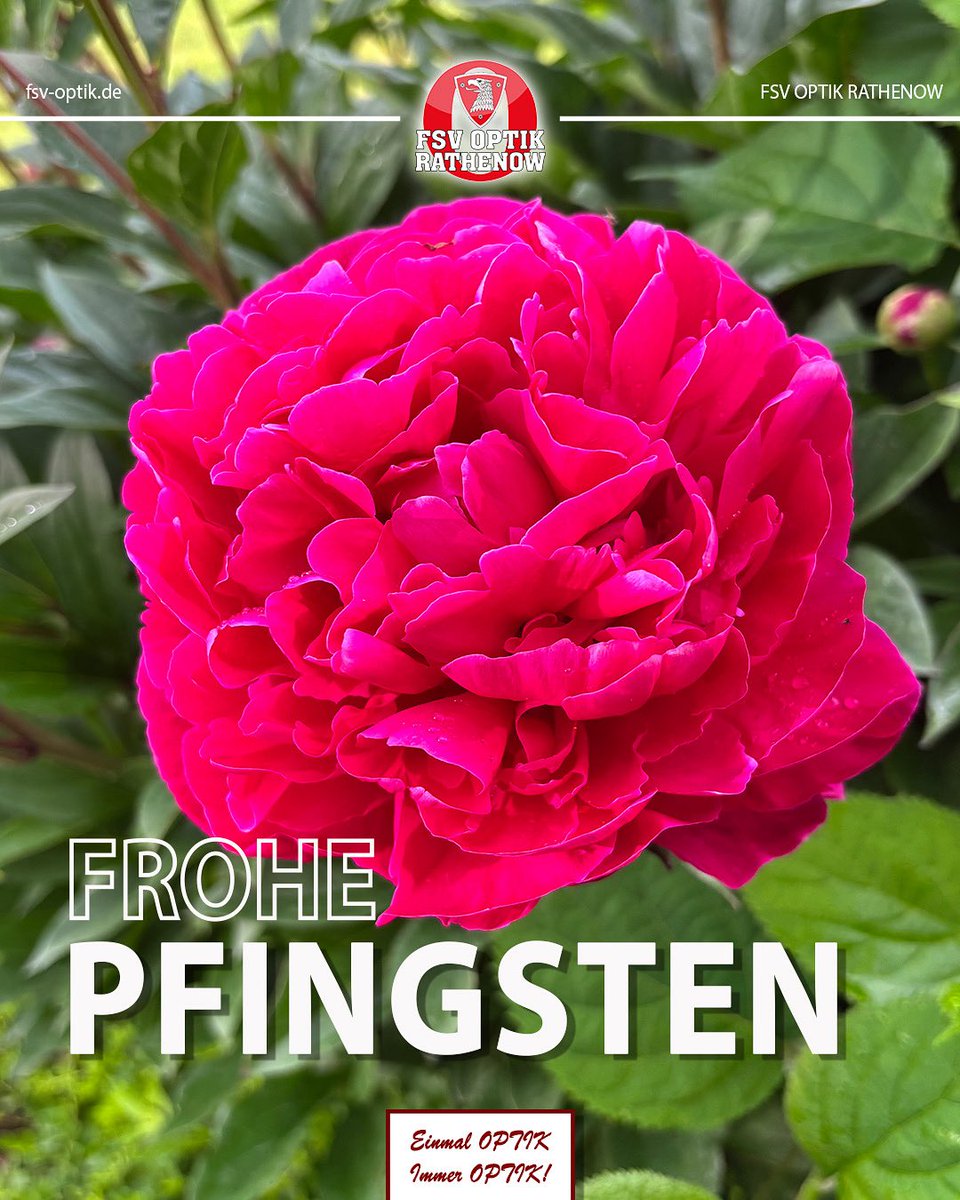 Der FSV Optik wünscht allen #Fans, Sponsoren und Mitgliedern ein frohes #Pfingstfest!