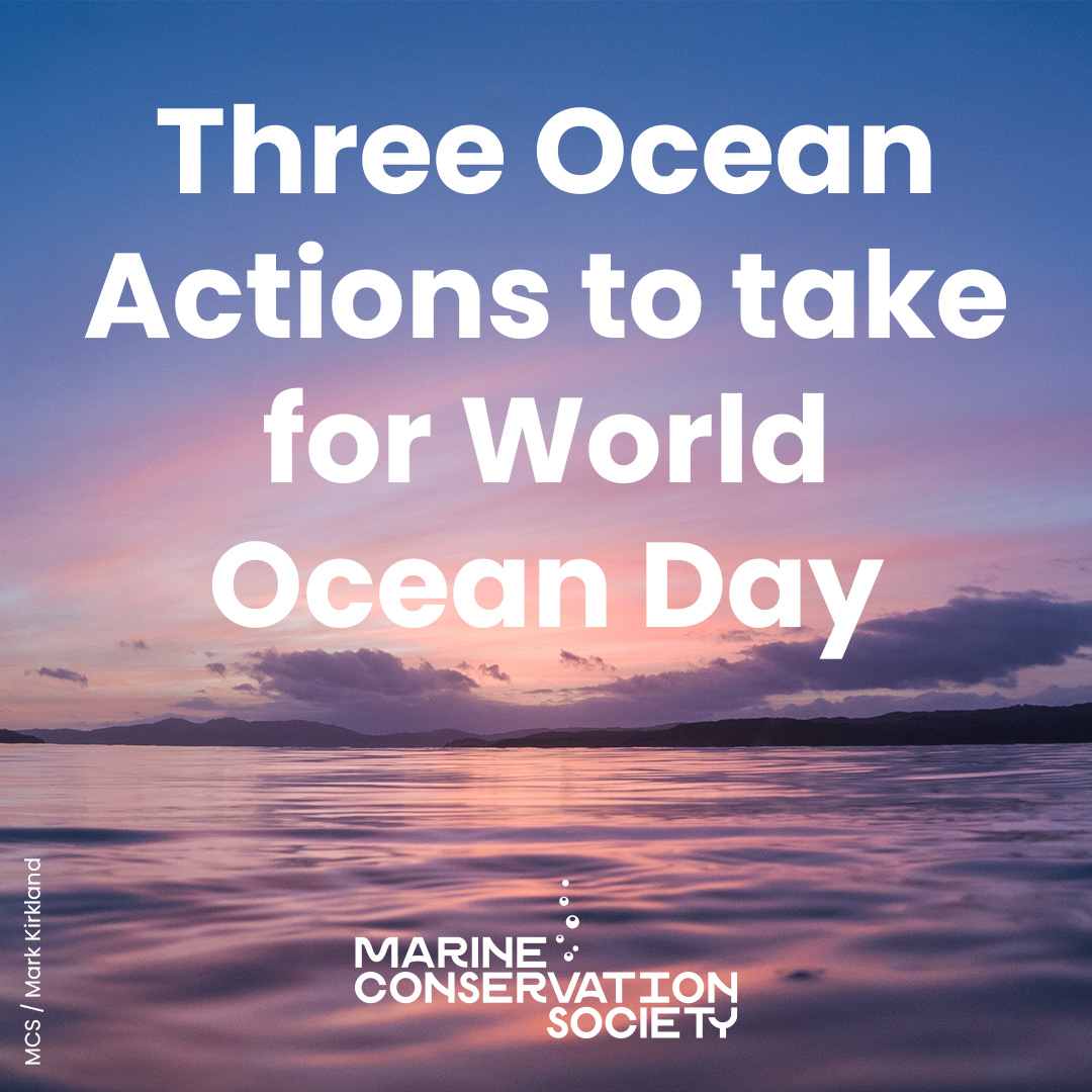 Marine Conservation Society tweet media