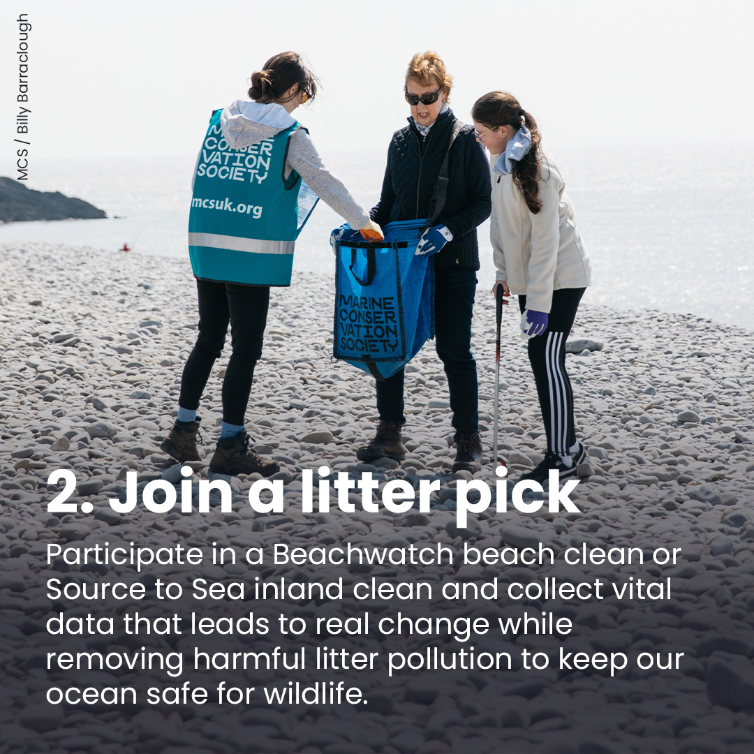 Marine Conservation Society tweet media