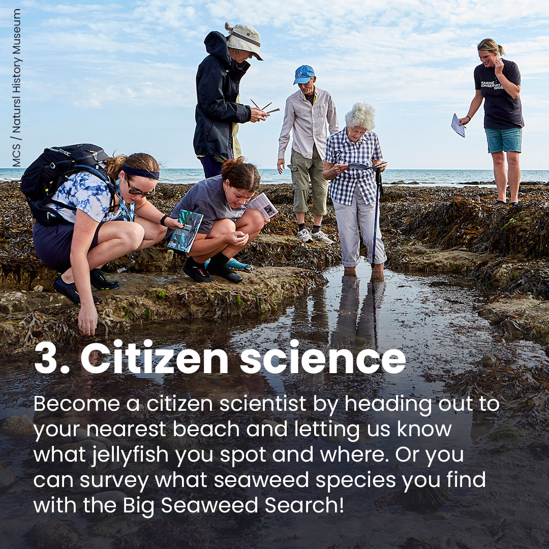 Marine Conservation Society tweet media