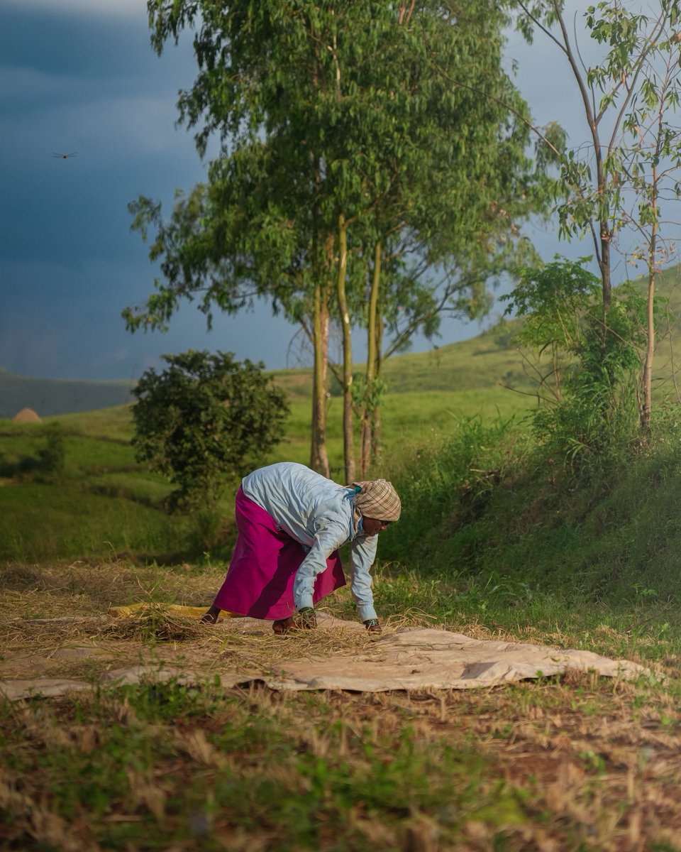 Photos I took at My Native.