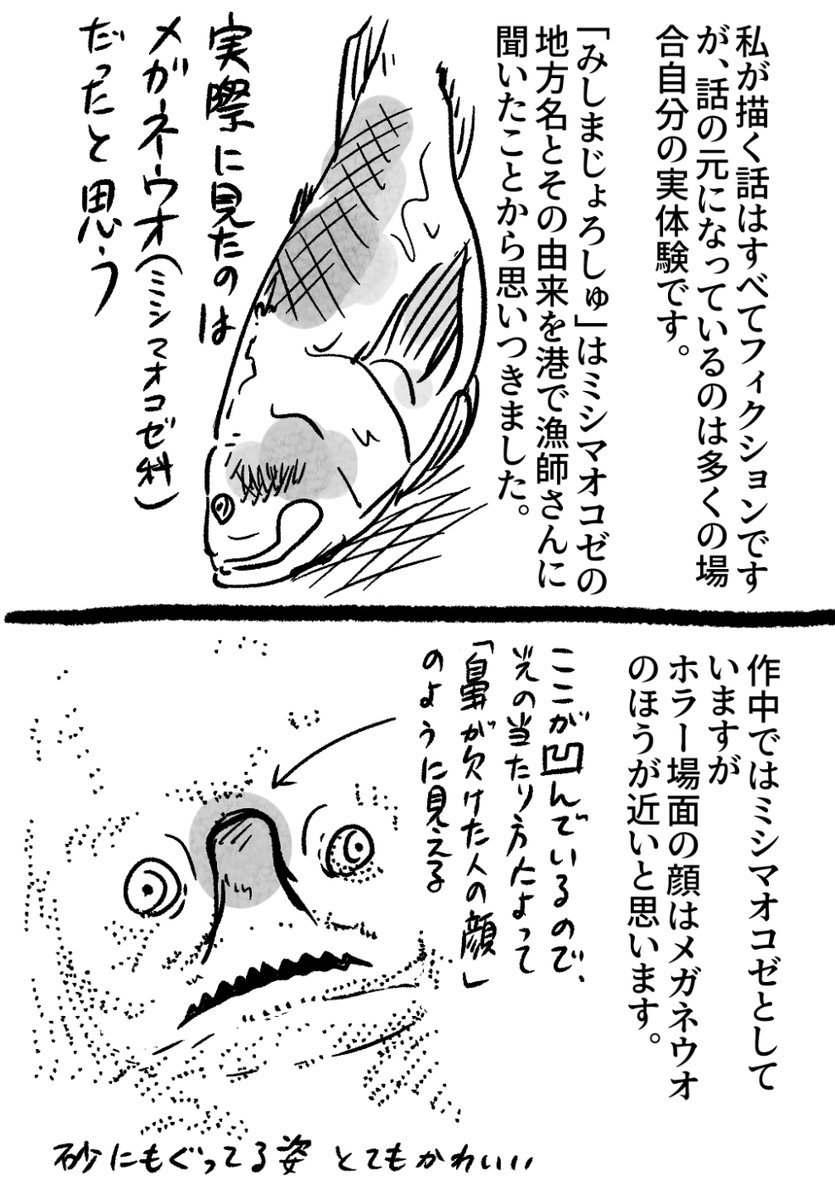 本日の漫画の宣伝…と、裏話(?)です。作中に出てきた魚について。
https://t.co/Q5auzSB2OS 