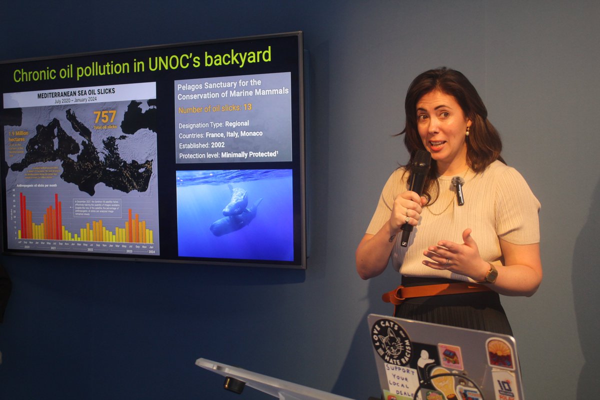 Center for Energy, Ecology, and Development tweet media