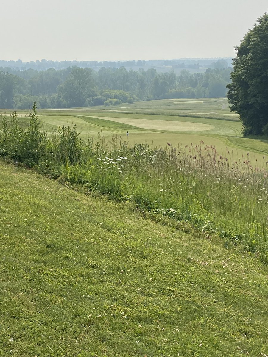 Mike Koff (@mike_photograph) on Twitter photo This am, Guilderland’s Sean Roddy and Voorheesville’s Brady Carrow compete in the <a href="/NYSPHSAA/">NYSPHSAA</a> boys golf championships at Mill Creek Golf Club. <a href="/theAEnews/">Altamont Enterprise</a> <a href="/GoDutchAthletix/">GuilderlandAthletics</a> This am, Guilderland’s Sean Roddy and Voorheesville’s Brady Carrow compete in the <a href="/NYSPHSAA/">NYSPHSAA</a> boys golf championships at Mill Creek Golf Club. <a href="/theAEnews/">Altamont Enterprise</a> <a href="/GoDutchAthletix/">GuilderlandAthletics</a>