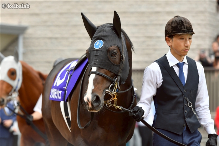 競馬200倍までをラクに当てる法 ピンポイント式でおもしろいほど獲れた 競馬200倍までをラクに当てる法 ピンポイント式でおもしろいほど獲れ
