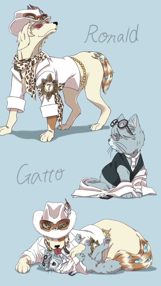 木綿豆腐 tweet media