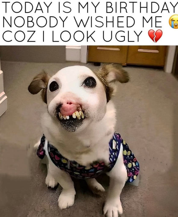 Beyond The Leash tweet media