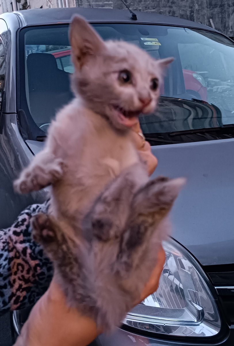 Biri bu kar tanesini hemen sahiplenebilir mi lütfen 🥹