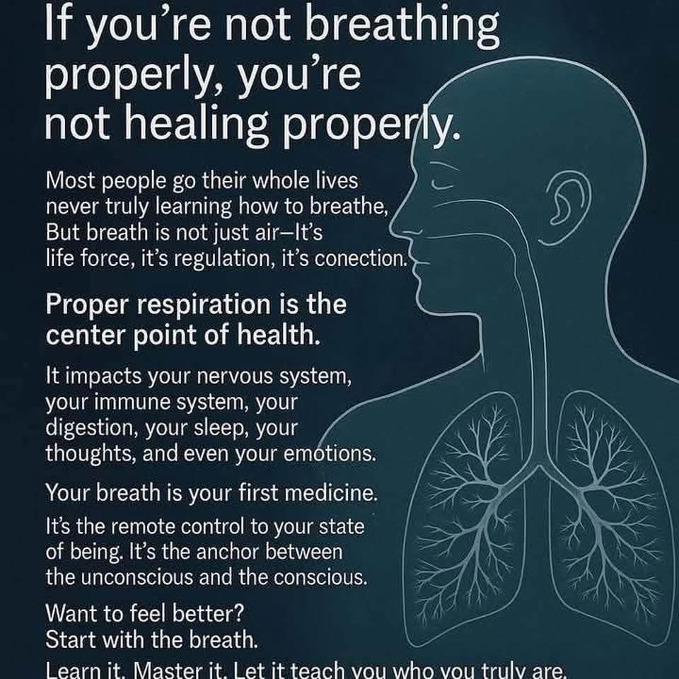 caronazo's tweet image. 