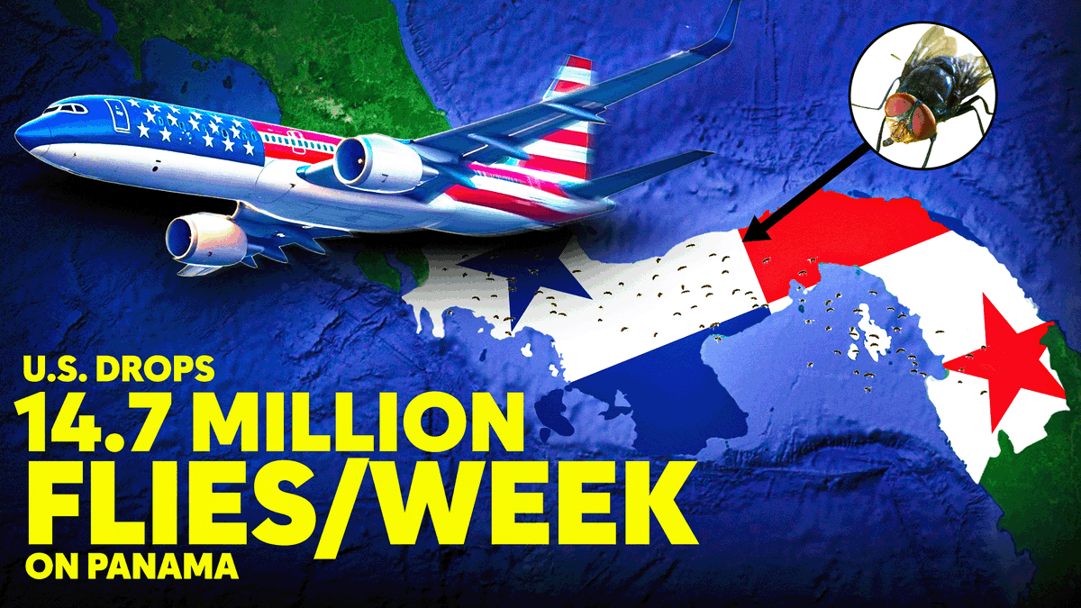 Krrisheditz's tweet photo. Documentary / Politics Thumbnail Design
Title-U.S. Drops 14.7 Million Files on Panama Every Week
Share your thoughts and suggestions!
#irlthumbnail #irlthumbnaildesign #irl #documentary #documentarythumbnail #thumbnaildesign #thumbnail #mrbeast #politicsthumbnail #politcs https://t.co/nyoSHLvEDh