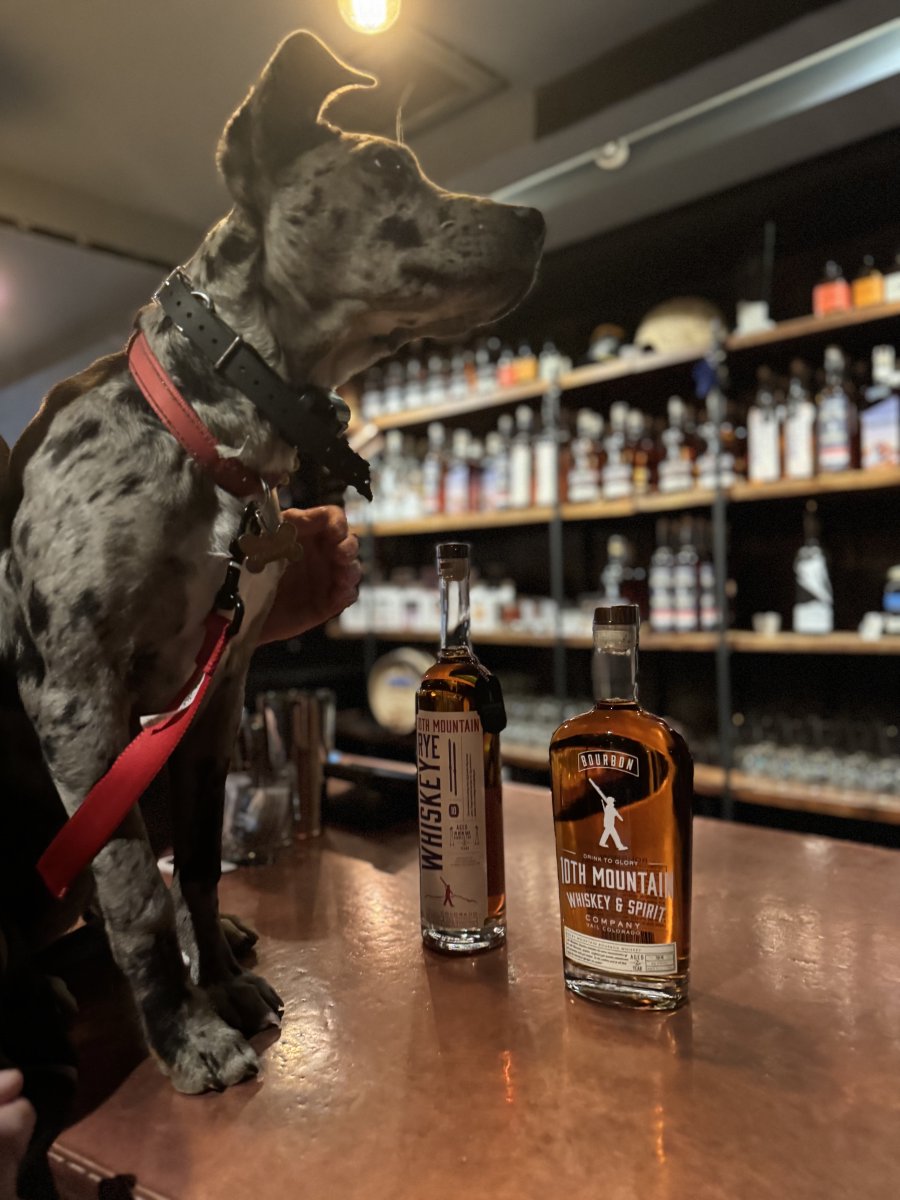 Not sure when the dog days of summer is exactly, but we are 💯 here for it. #dogsofinstagram #bringyourdogs #10thMountainWhiskeyAndSpiritCompany #10thMountainWhiskey