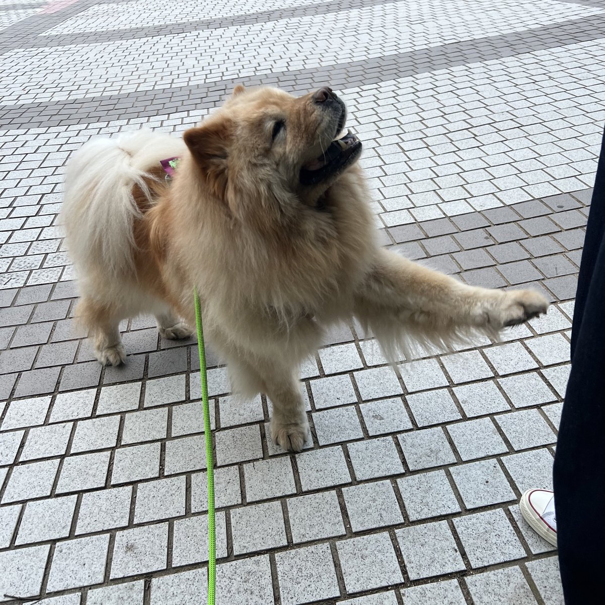 됐고 각가 내놔