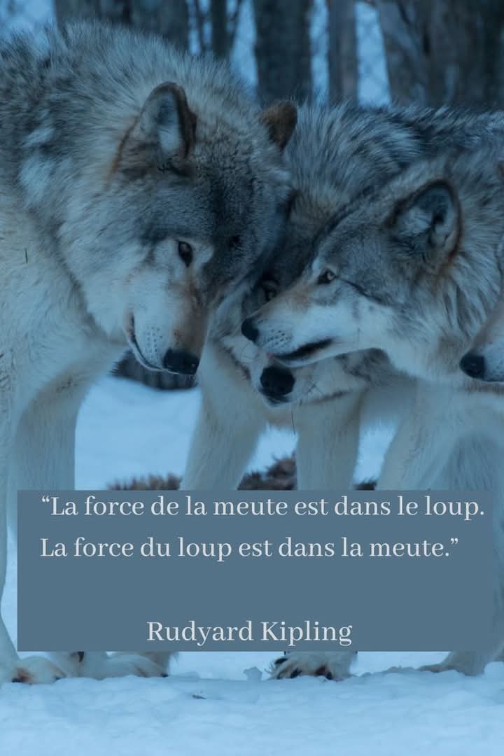 Adea Claude (@adeaclaude) on Twitter photo 