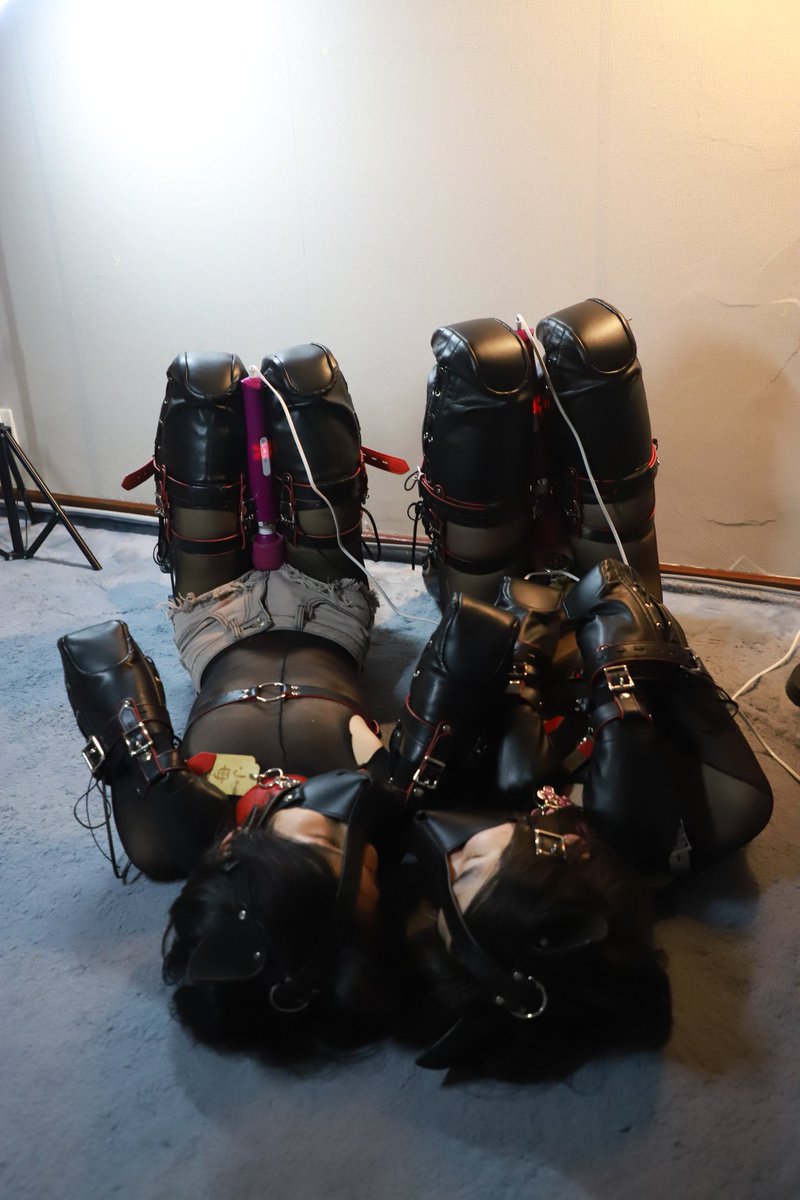 一起睡觉
Sleep together

🐩 <a href="/icalimakt/">pinkcomet</a>  <a href="/Flyinglight2006/">飞光</a> 
📷 <a href="/TarsMark2/">梓楚 Branka</a>
K9拘束具 <a href="/BlackMarieChina/">Black Marie</a>
#k9 #bitchsuit #blackmarie #人形犬 #小狗日记  #petplay