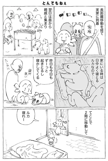 うちの犬のルカ。49【0/3】 