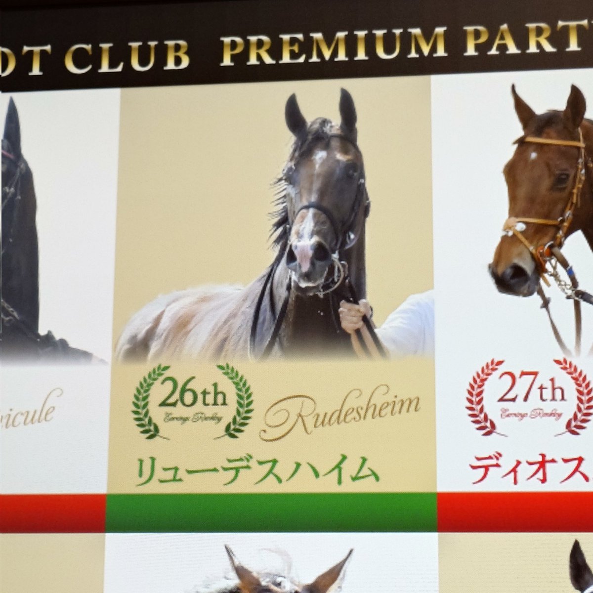 chitoseo11201's tweet photo. キャロットパーティー終わり✨
昔懐かしのダビスタ調パネルに胸熱。リューデスハイムは去年クラブで26位かー！自分の出資馬が出てると嬉しい。会の後半、隣に居合わせたマダムにあなた武豊に似てるわねと言われなんか照れる🤣沢山の騎手や調教師を目の当たりにして興奮！また行こう🙌 https://t.co/uLw68gxRzF
