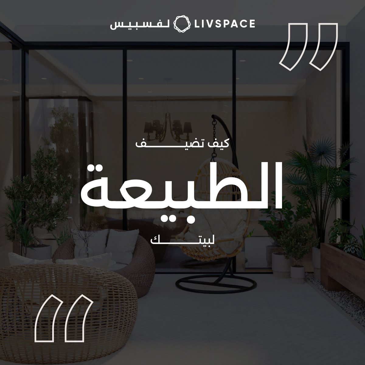 Livspace | لفسبيس tweet media