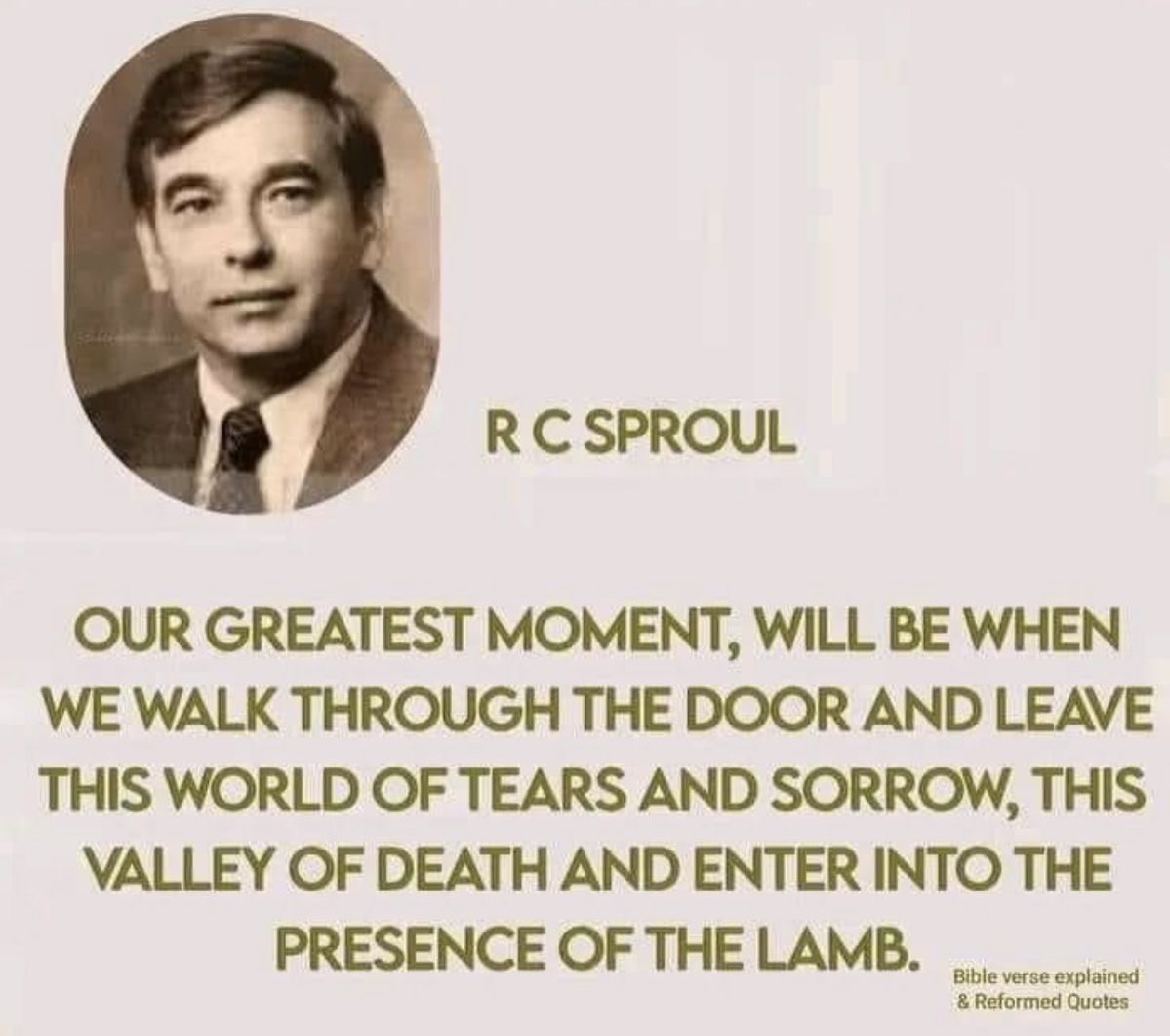 sola_chad's tweet image. 