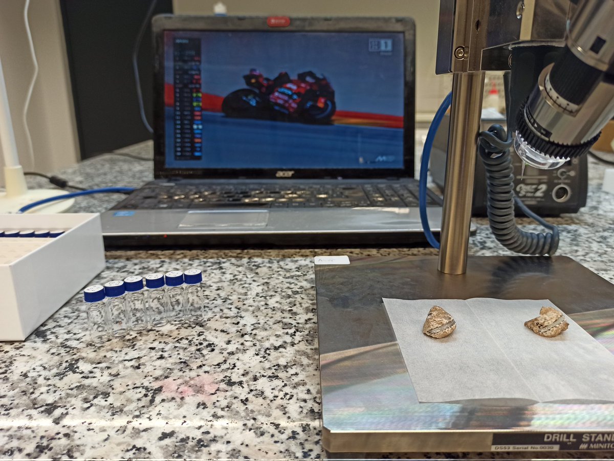 asierge's tweet image. Any given Sunday. This time sampling Aurignacian shells watching MotoGP.
📍 ICTA-UAB