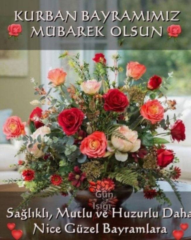 hanımeli kadife (@hankadife78023) on Twitter photo 