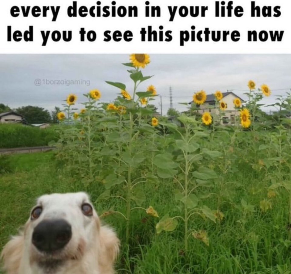PawelIzdebski's tweet image. 