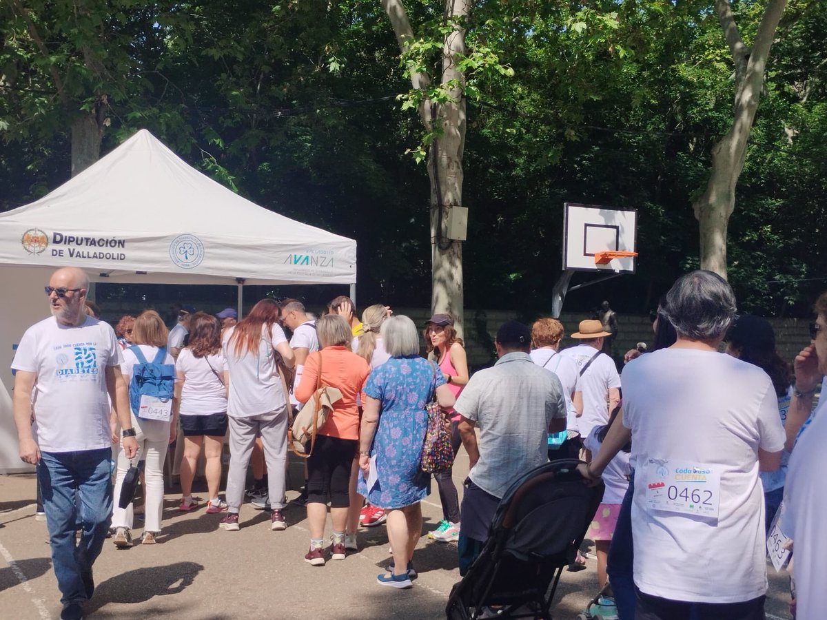 🏃🏻‍♀️🏃🏻‍♂️ Celebración en Valladolid de la #MarchaDiabetes2025.

👟 Organizada por <a href="/AdivaValladolid/">ADIVA</a> para visibilizar la enfermedad y fomentar la actividad física.

El diputado Alfonso Romo <a href="/SilluPedrasillu/">Sillu Alfonso Romo</a> participa en la Marcha. 

Cada paso cuenta.