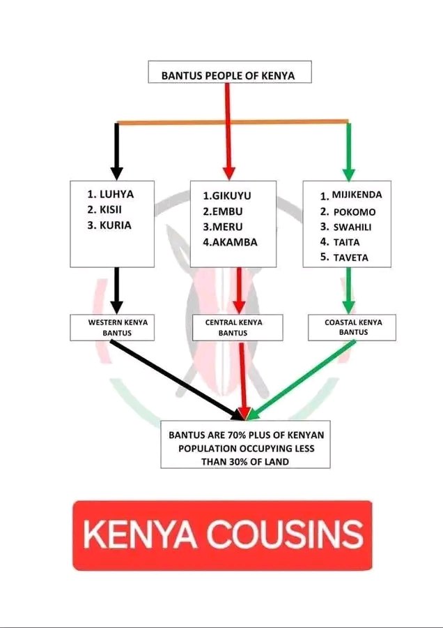 Hi cousins