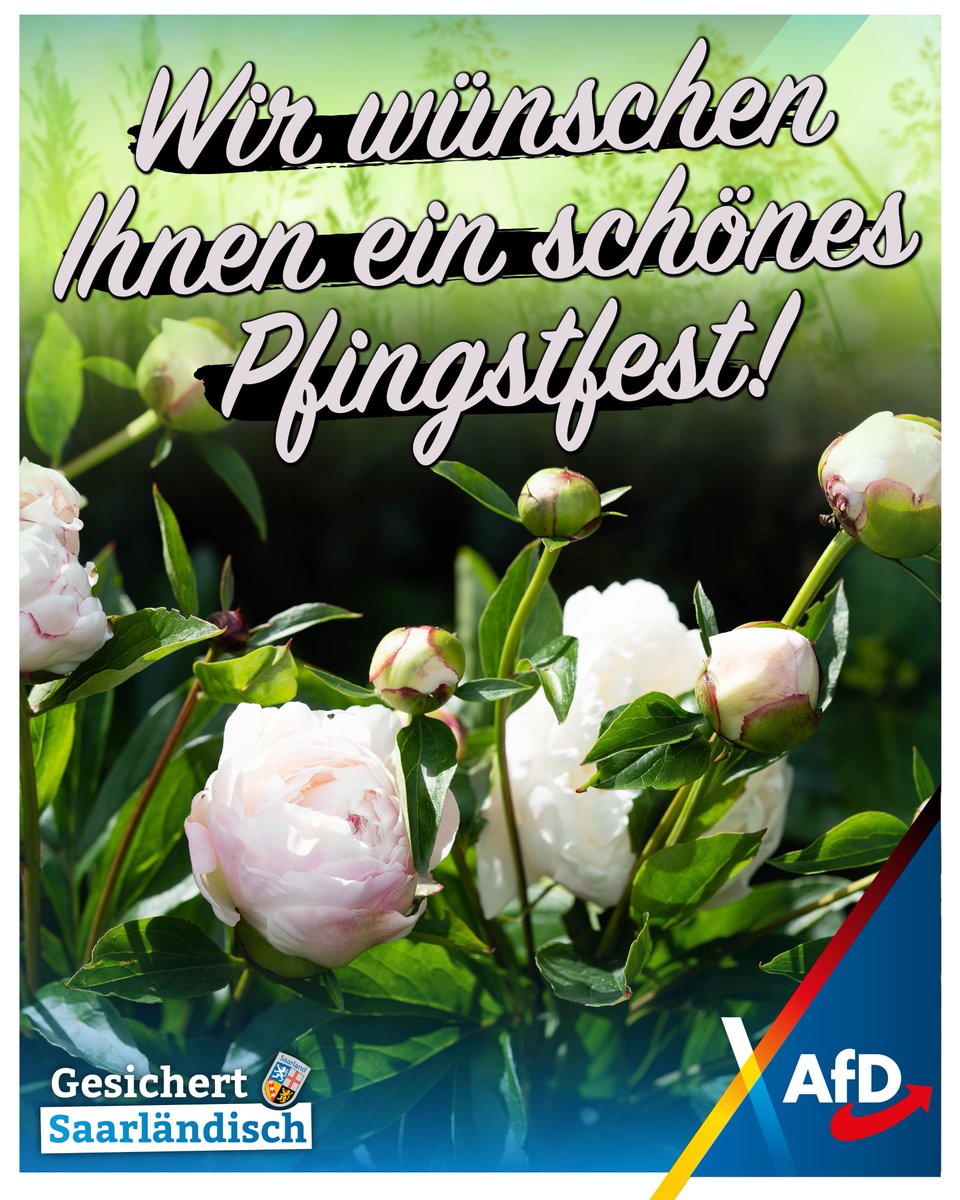 Schöne Pfingsten!