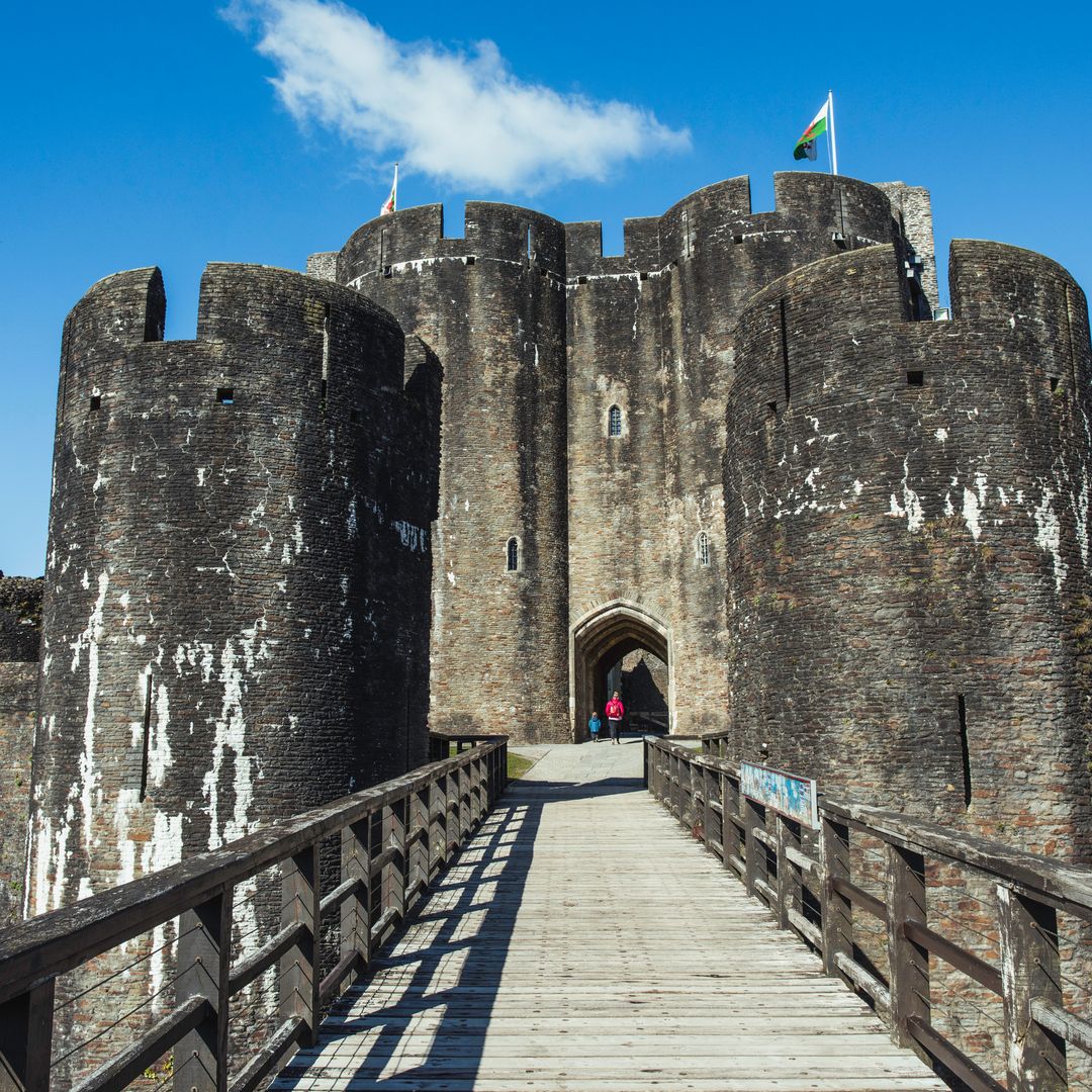Celebrate Father’s Day at Caerphilly Castle with card and badge making. On Saturday 14 June.

Please note -  No visitor toilets available within the castle grounds

🔗cadw.gov.wales/fathers-day-fi…
