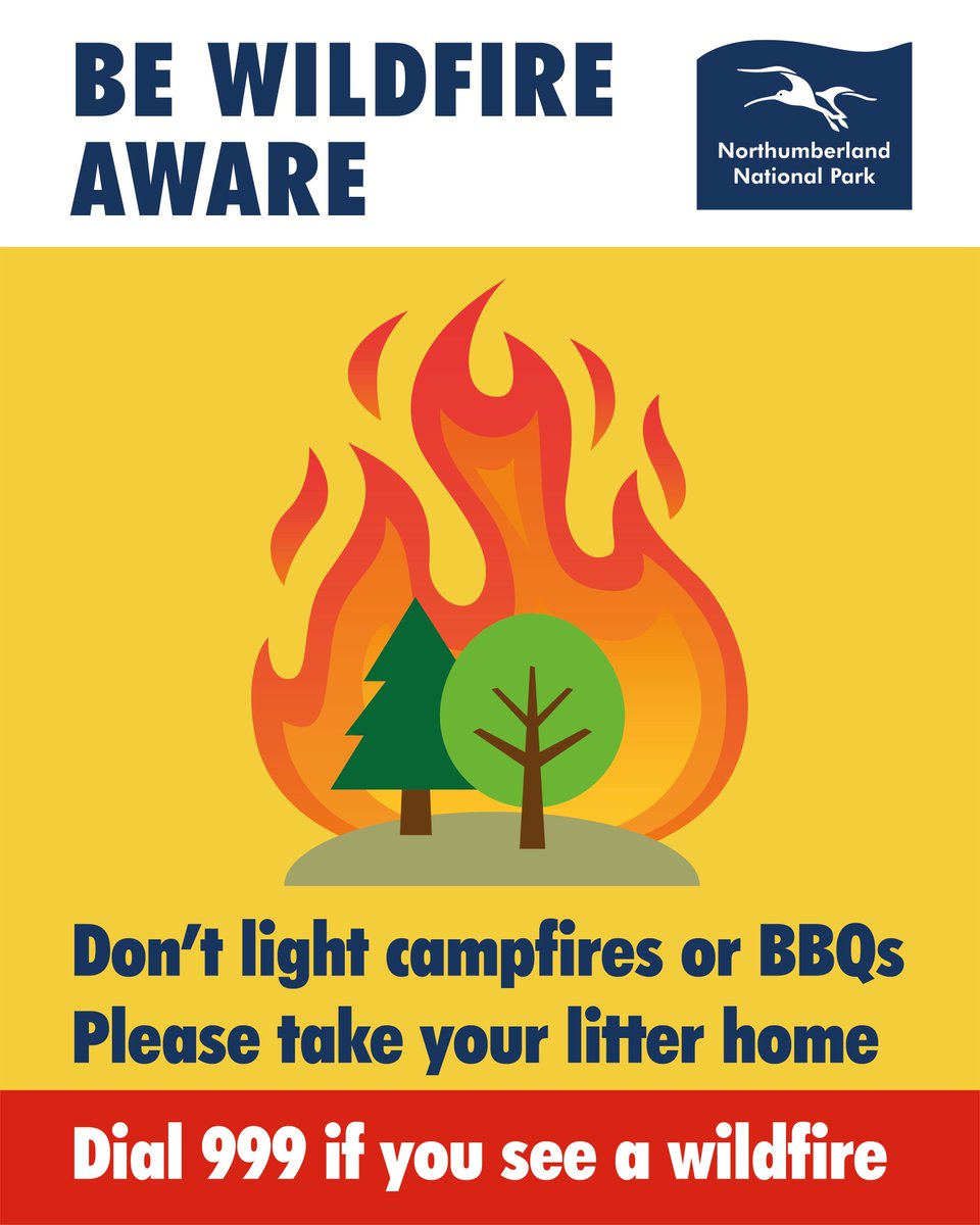 Help prevent wildfires in the National Park by following these simple steps:

- Avoid setting fires, campfires, or BBQs
- Fully extinguish cigarettes before discarding them
- Take all litter home
- Exercise caution when parking vehicles on dry vegetation