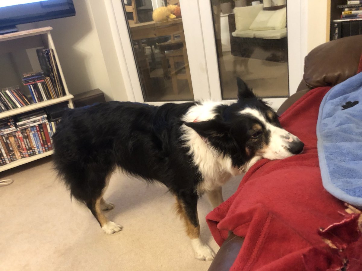 Sometimes I had to rest my head