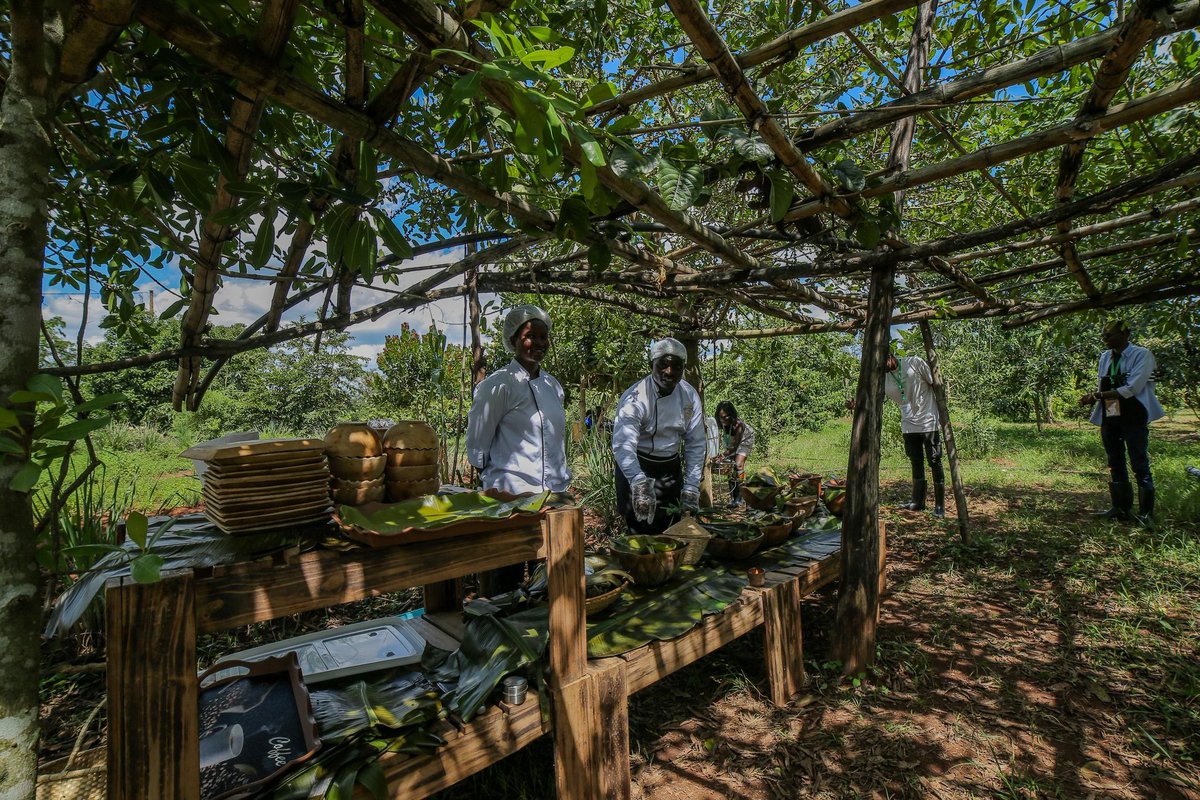 LoneWalker_256's tweet photo. This Heroes Day, come celebrate the hands that grow, build, and protect.

At @kaynelafarmsltd, every visit is a tribute to legacy, courage, and the beauty of our roots. 🌾💛

📞 +256701116511
🌐 https://t.co/IbSfDHej0E

#HeroesDay || #KaynelaFarms || #ExploreUganda https://t.co/WXYy1qyDCY