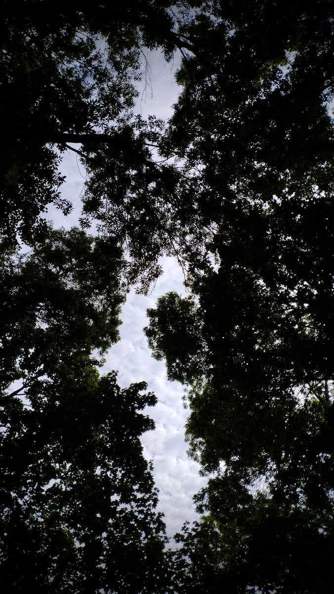 И дрозды поют заливаются. Каласё🤩