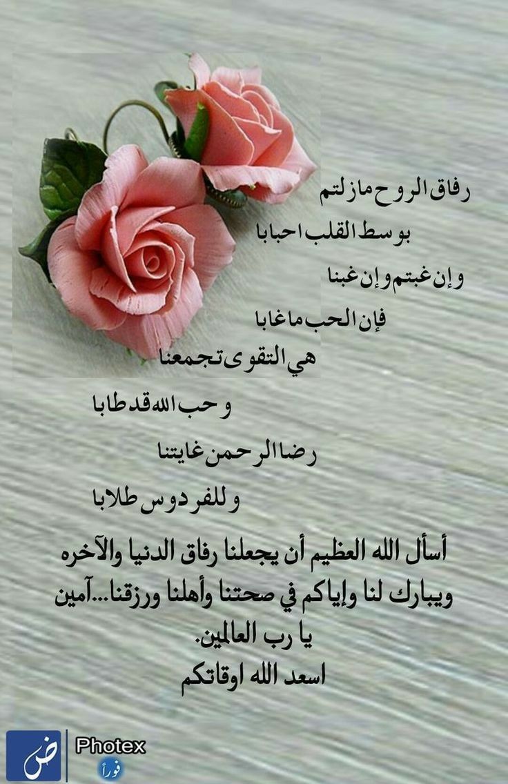 ولا ندري عن الأقدارِ شيئًا وفي الأقدارِ منفعةٌ و ضُرُّ
فقد يأتي من المكروه خيرٌ كما قد يأتي من الخير شَرُّ"