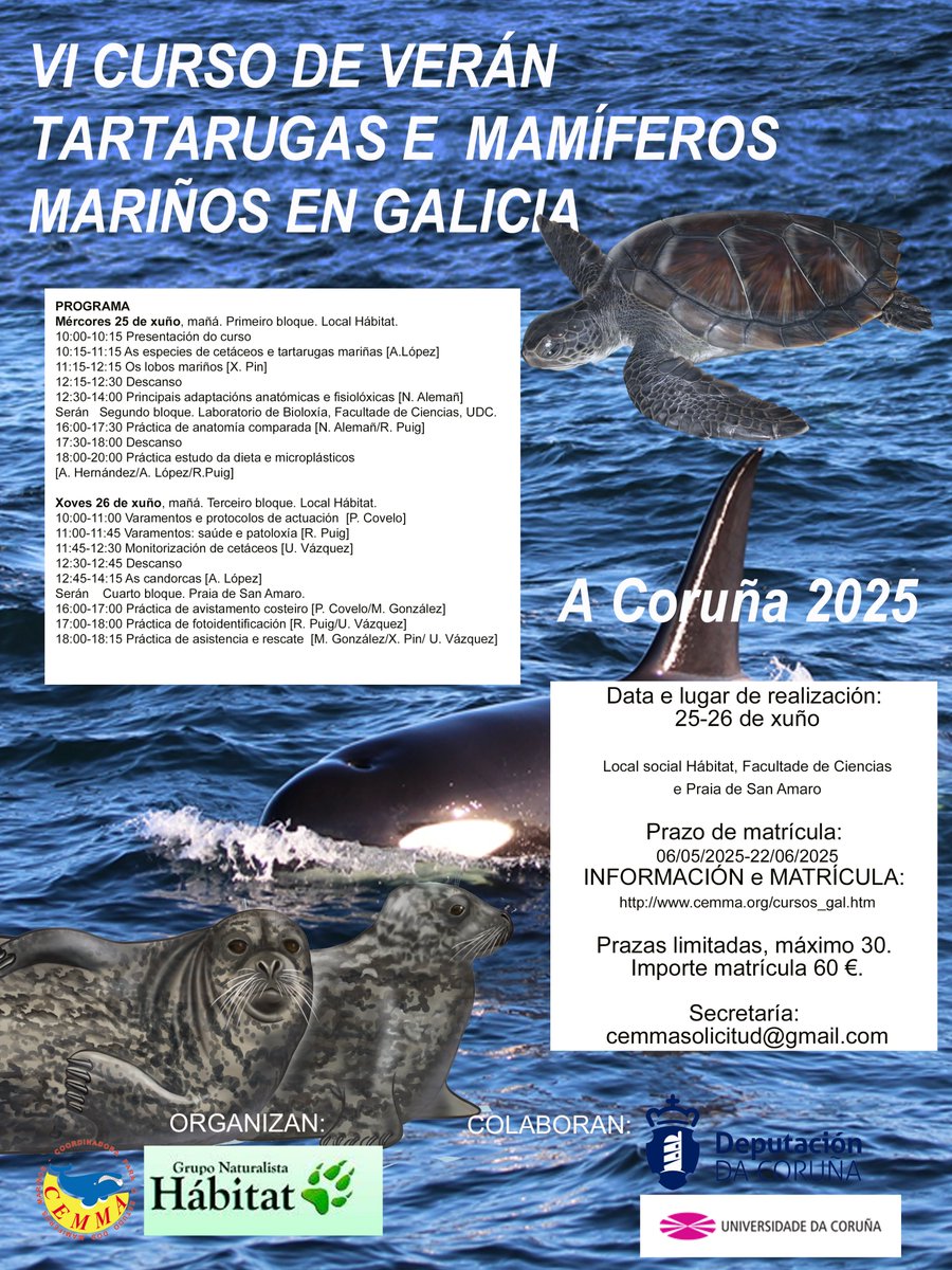 gn_habitat's tweet image. 🔊 Se es un amante da fauna mariña, este mes tes unha cita no “VI Curso de tartarugas e mamíferos mariños” de @CEMMAcetaceos  🐢🐬🐋. Unha iniciativa apta para todos os públicos, impartida por un amplo elenco de expertos.
Toda a información en ▶️ bit.ly/4kBMz6G