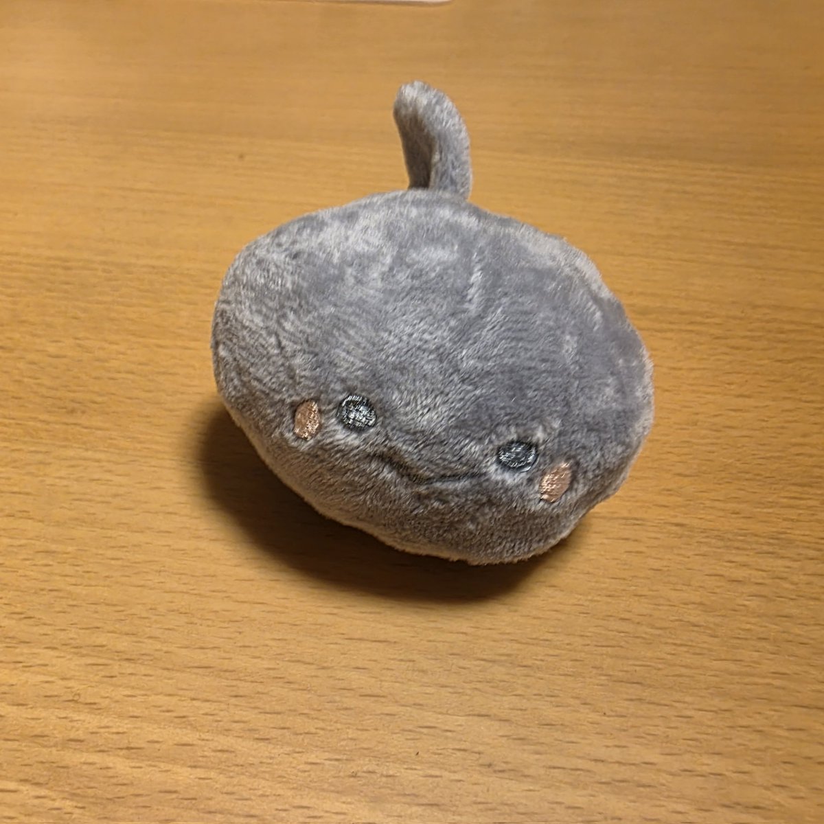 lapisyamato's tweet photo. きたーく
気になってたがちゃがちゃあったのでお迎え〜
ひっくり🐸 https://t.co/h1kYjxdk2y