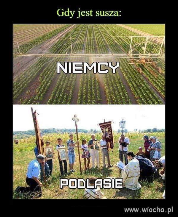 Gs6DUx8XYAAFKRz?format=jpg&name=900x900