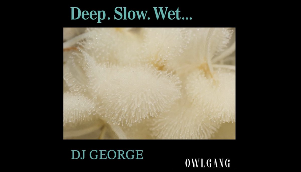 OWLGANG OFFICIAL (@owlgang2024) on Twitter photo Deep. Slow. Wet... Slow Jam Mix Mixed by DJ GEORGE <a href="/djgeorge_menace/">DJGEORGE (JPN)</a>
⬇️⬇️⬇️
youtu.be/tSev-mIBlfM Deep. Slow. Wet... Slow Jam Mix Mixed by DJ GEORGE <a href="/djgeorge_menace/">DJGEORGE (JPN)</a>
⬇️⬇️⬇️
youtu.be/tSev-mIBlfM