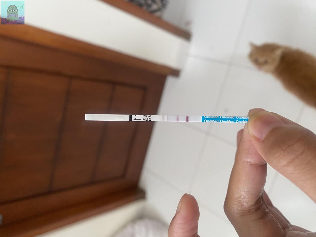💚 guys, I’m positive🥹 Rasanya campur aduk, seneng tp jg agak mellow krn udh ngga ada ibu, mertua jg jauh bgt.  I’m doing this alone🥹 (as a woman yaa)

Bagi pregnancy tips kalian dong, do’s and don’ts, or just some kind words also means a lot for me🫶🏻 TIA 💚