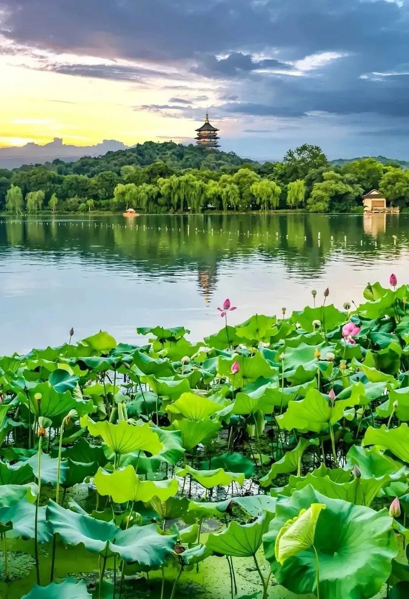 杭州西湖~
#大美中国