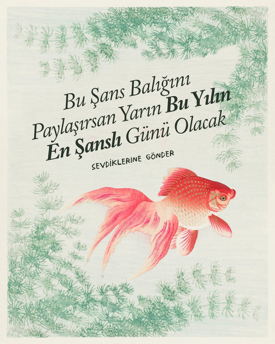 Flov Studio (@flovstudio) on Twitter photo 