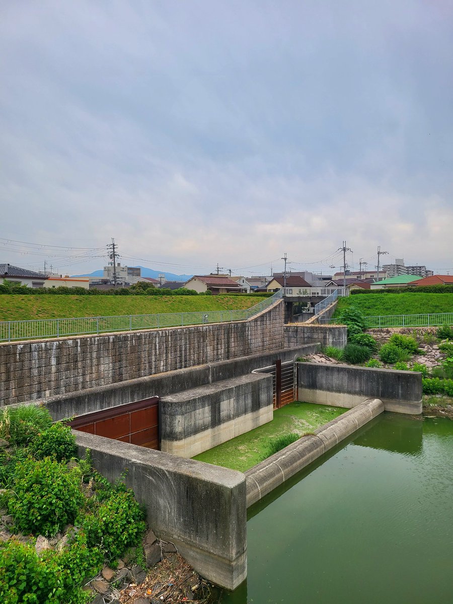 tomo.y523 (@harumaki3735) / Posts / X