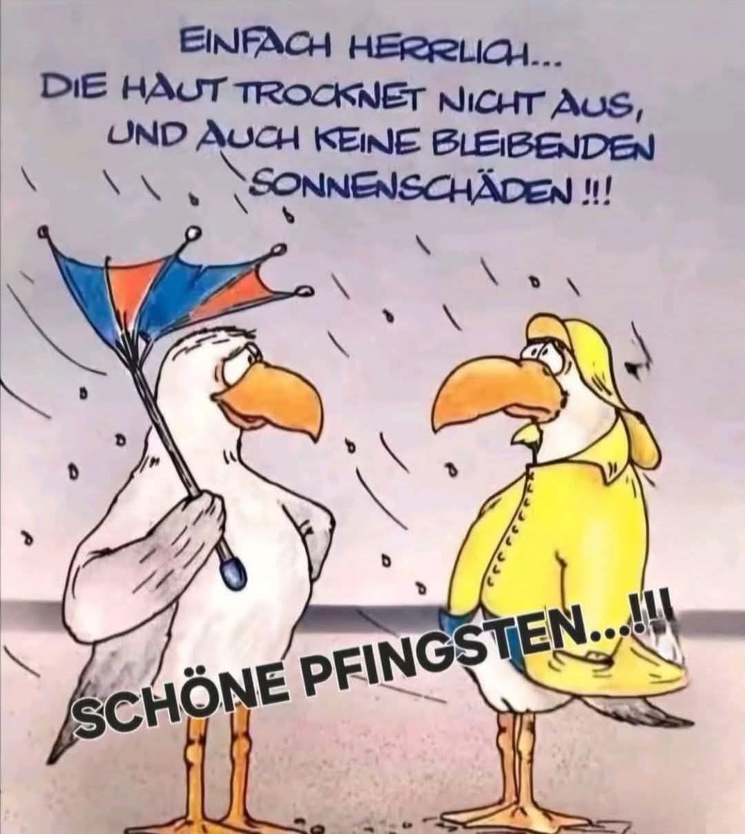 ☕️Guten Morgen..was ein Wetter furchtbar, naja machen wir das beste draus..❤️